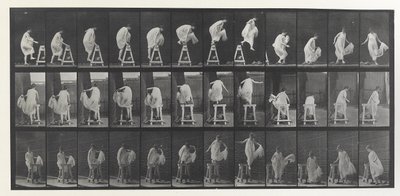 Animal Locomotion Plate by Eadweard Muybridge